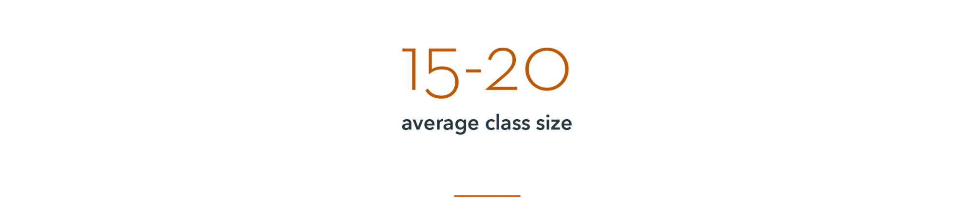 Infographic: 15-20, average class size