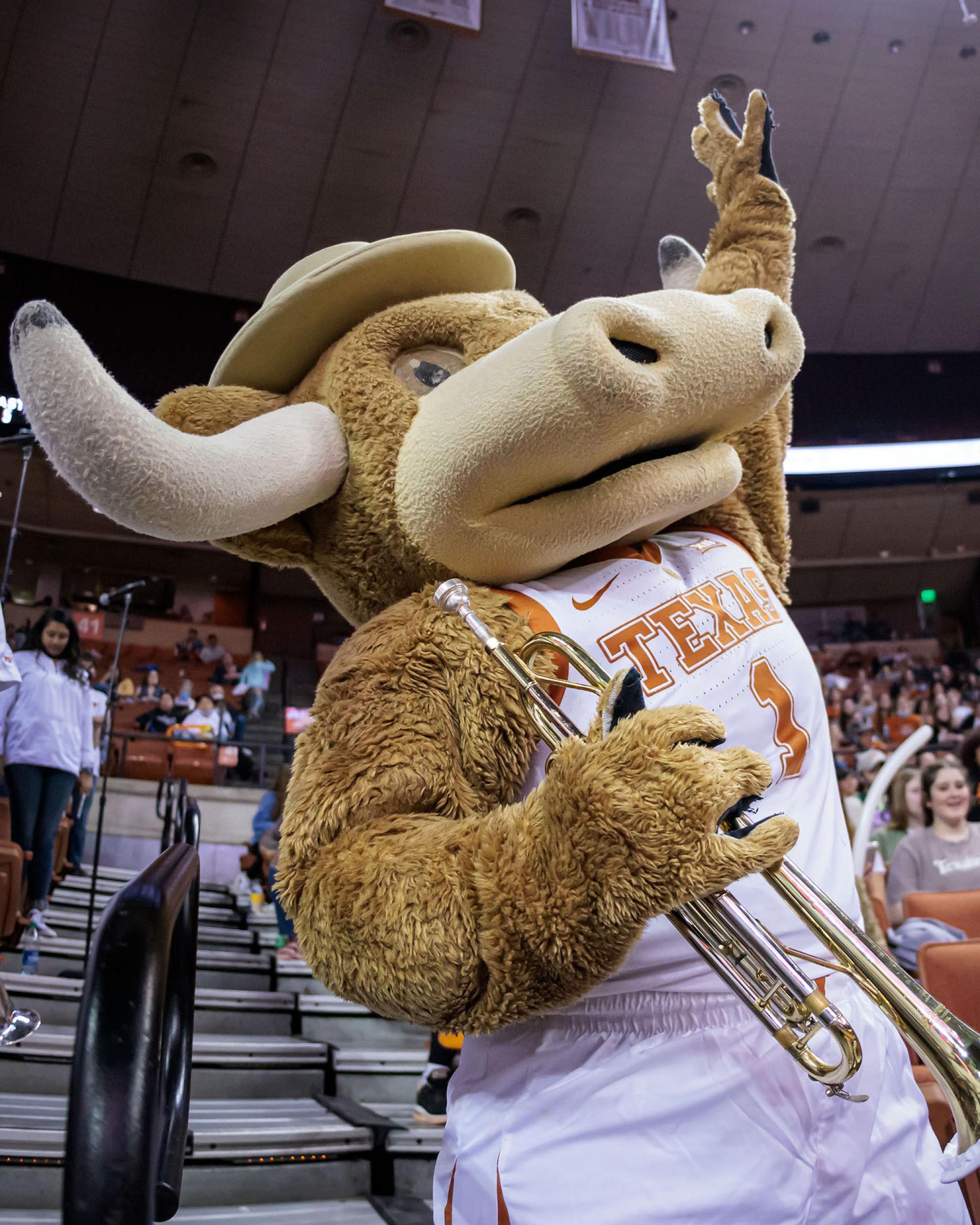 Beevo mascot in the stands, holds a trumpet in one hand, his other arm is raised toward the sky.