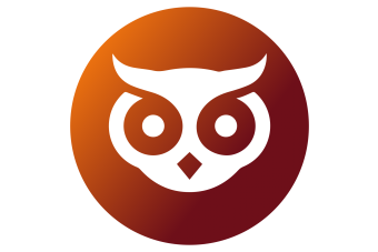 an icon of the face of an owl