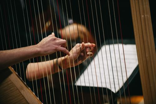 Close up of hands plucking harp strings