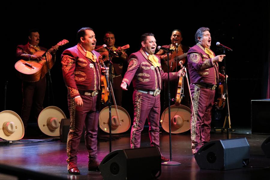Los Camperos perform on stage