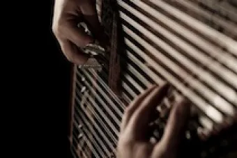 Closeup of qanun being played