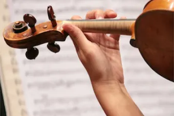 Closeup of violin neck