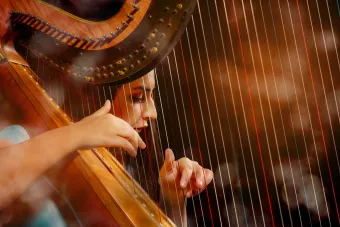 A close up of a harp player plucking the strings during a performance