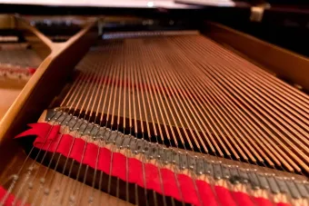 a closeup image of the inside of a piano